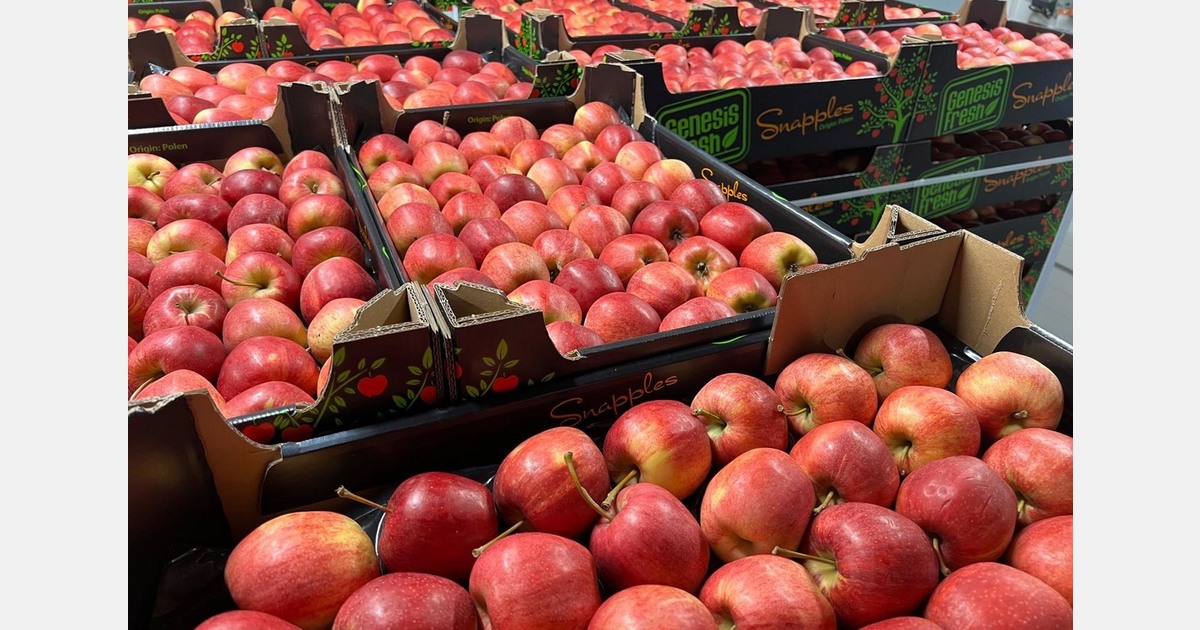 "Compared to previous seasons, the apple market feels calmer"