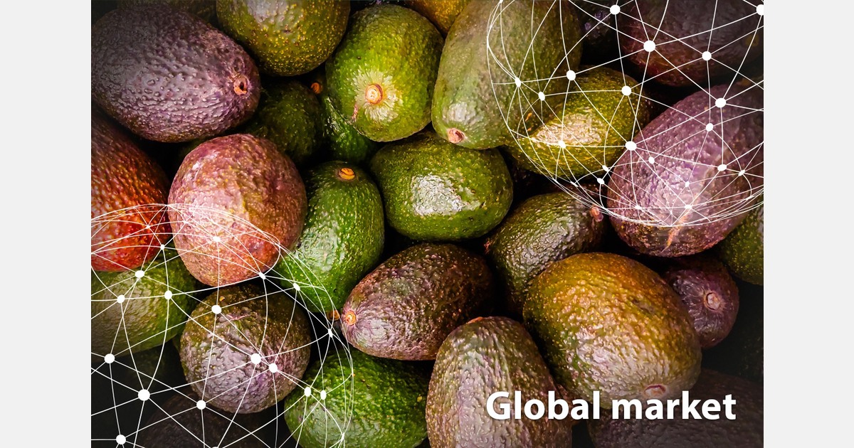 GLOBAL MARKET OVERVIEW AVOCADOES