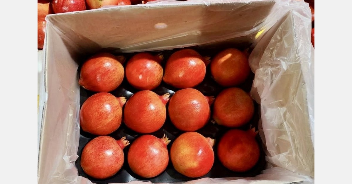 “India’s pomegranate supply shifts as Maharashtra’s season ends”