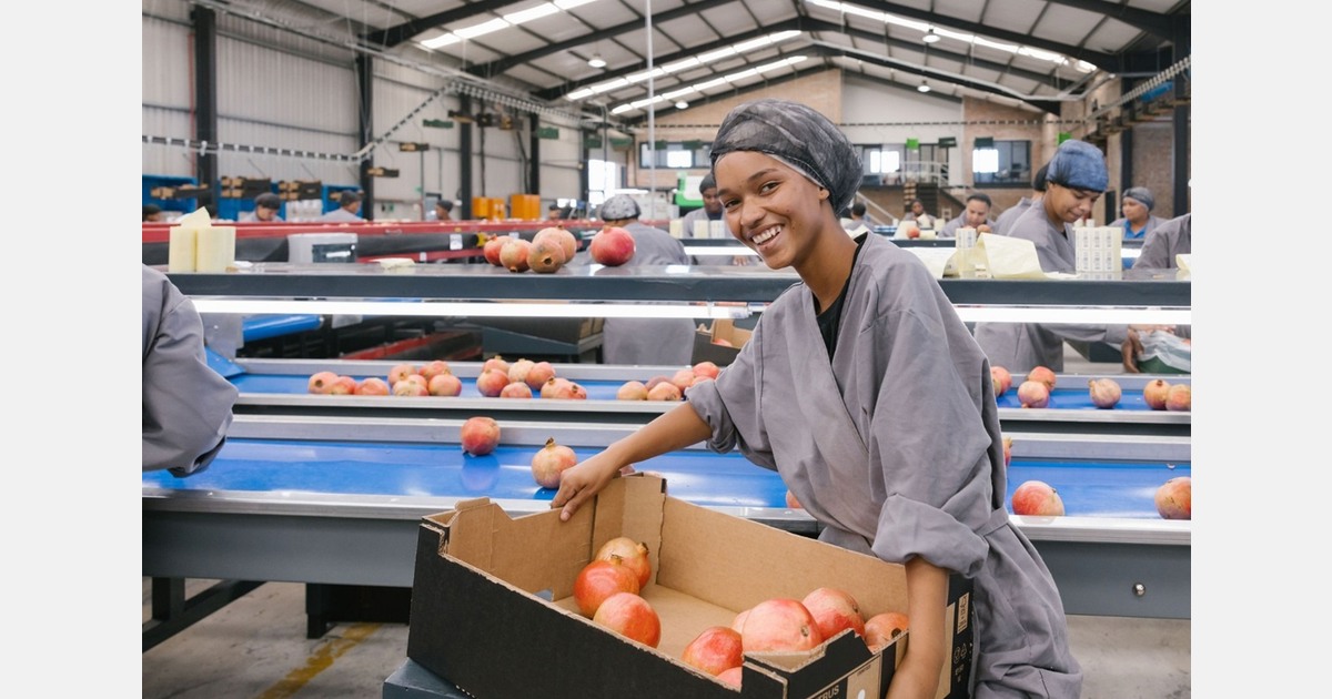“We’re heavily investing in pomegranate cultivation”