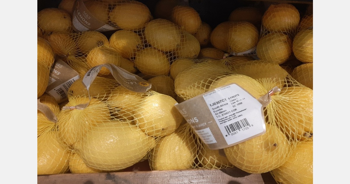 South African lemon grower expects well-balanced supply and demand