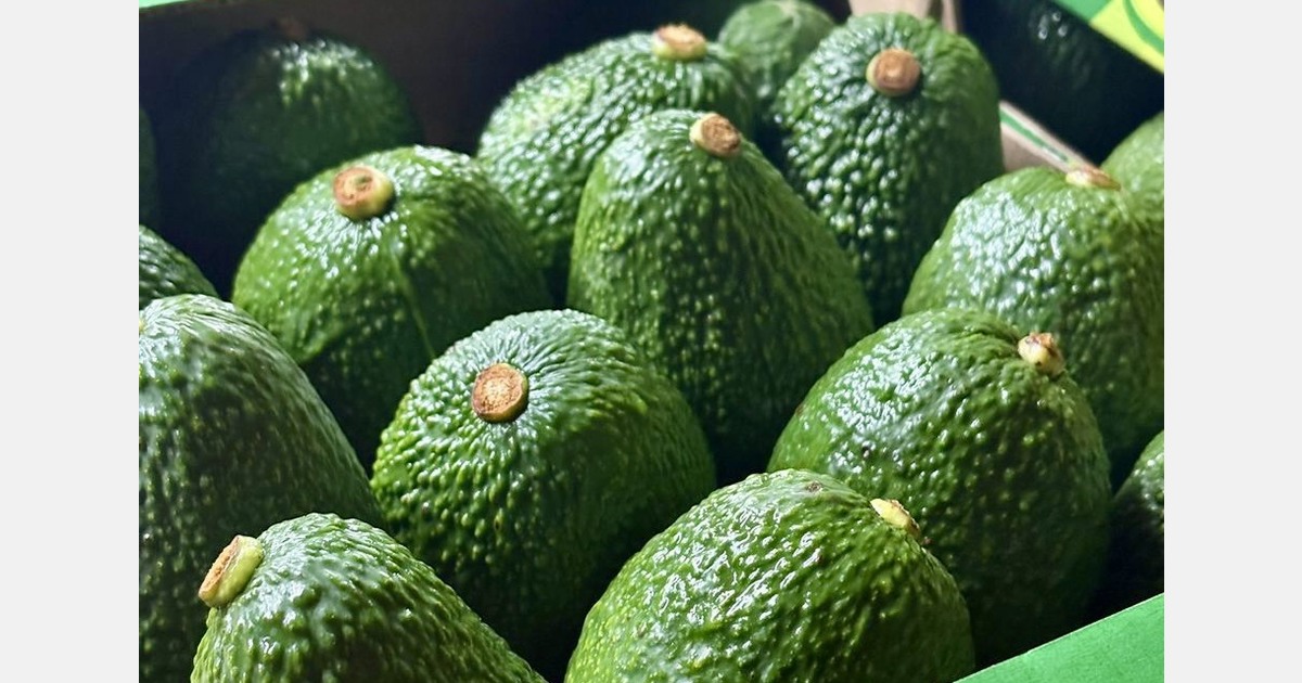 “India is Tanzania’s No. 2 market for avocado exports, behind Europe”