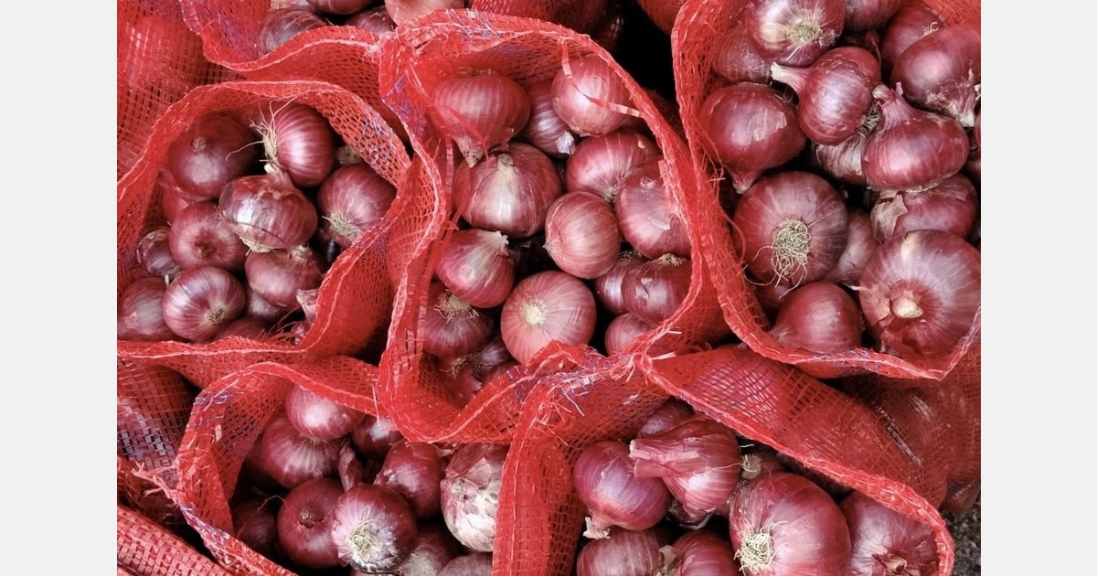 “Indian red onions attract stronger prices in re-export markets than Dubai hub itself”