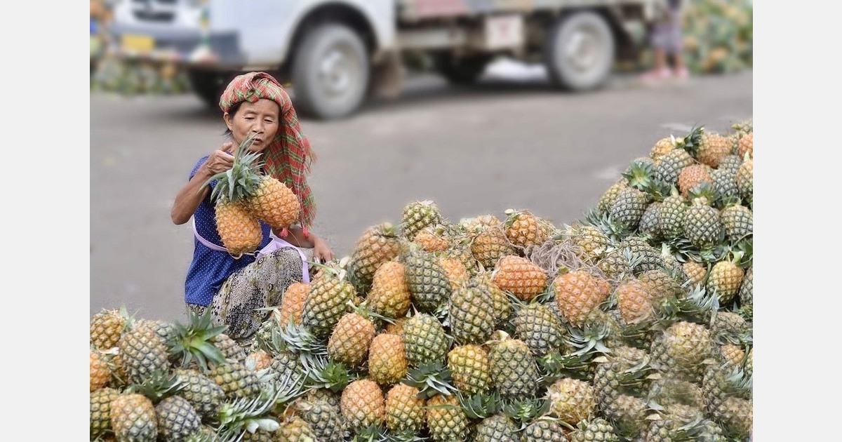 "We're running flavour-focused pineapple trials across the Middle East and Europe"