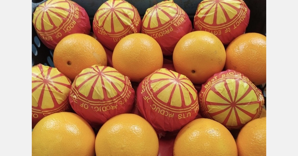 “Asia is becoming a key growth market for Egyptian citrus”