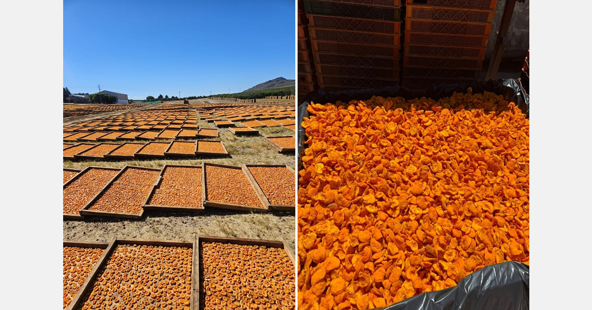 Despite global uncertainty, demand remains for South African canned fruit