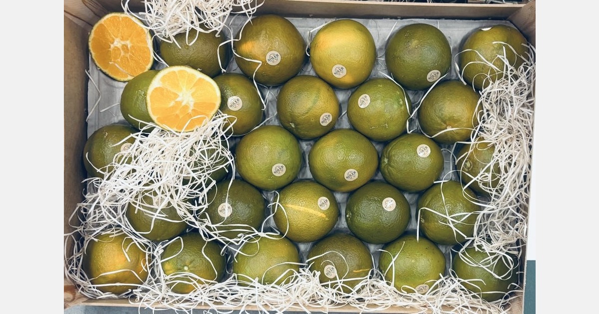 Belgian importer focuses on exclusive citrus varieties