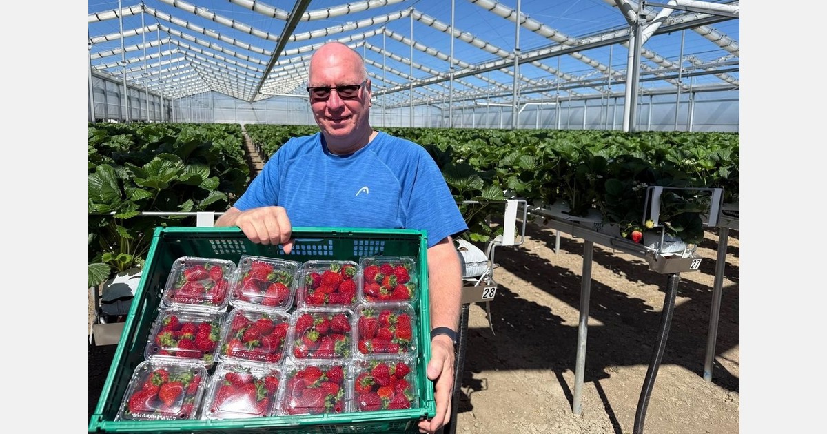 Reduced thrip pressure is beneficial side effect of retractable roof greenhouse