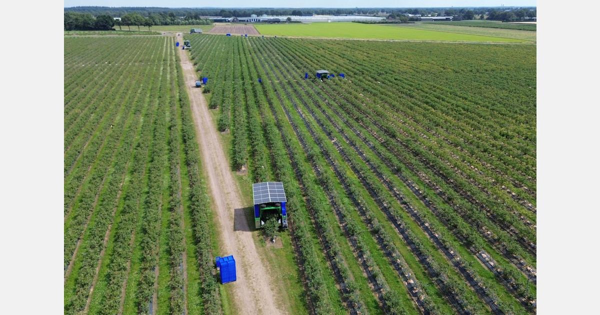 "Within 5-15 years, fresh berry harvesting will be entirely mechanized"
