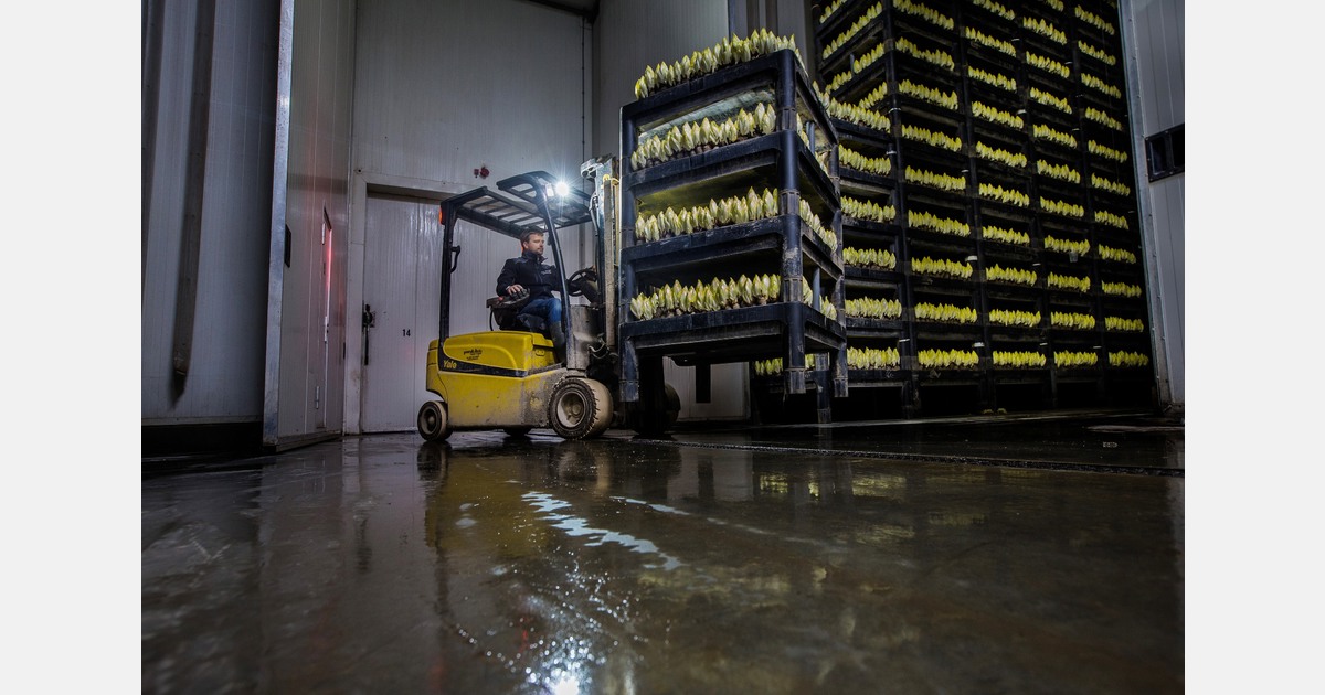 Controlling the chain to survive price volatility