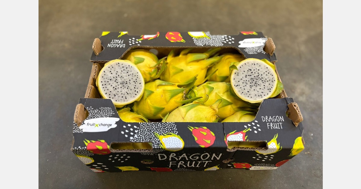 Dragon fruit moving from niche to mainstream product
