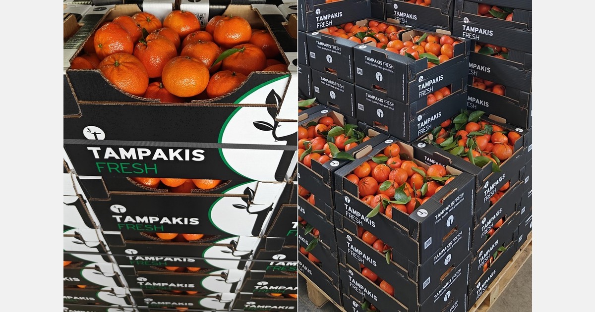 Mandarins outperform oranges in Greek season