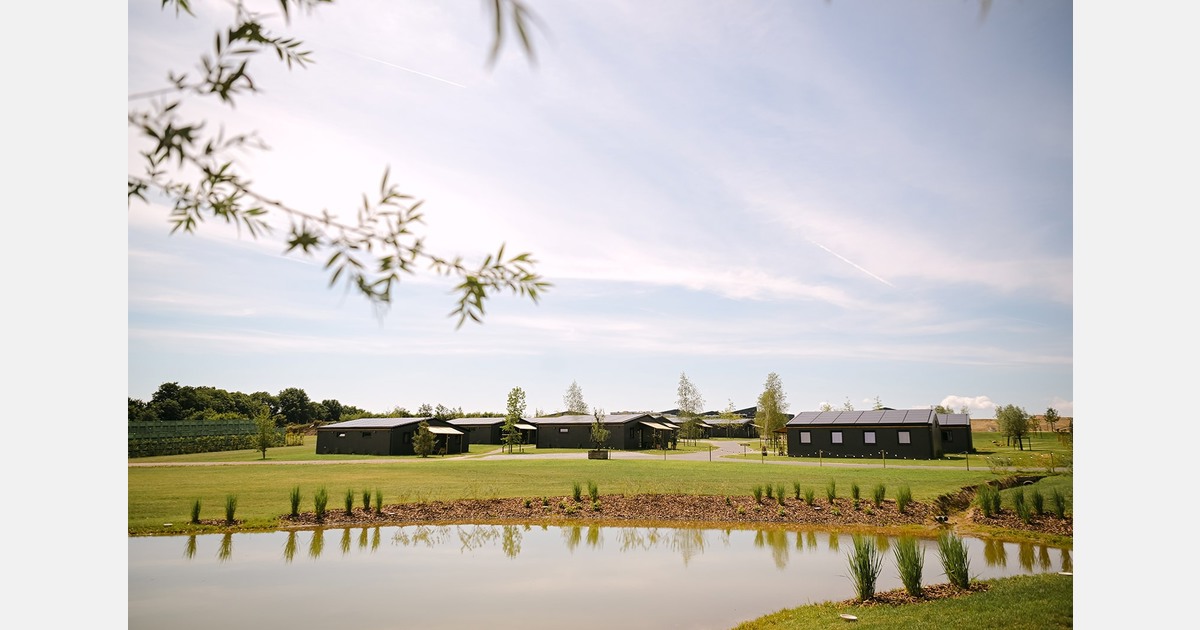 “Pears are popular, but quality issues are driving prices down”