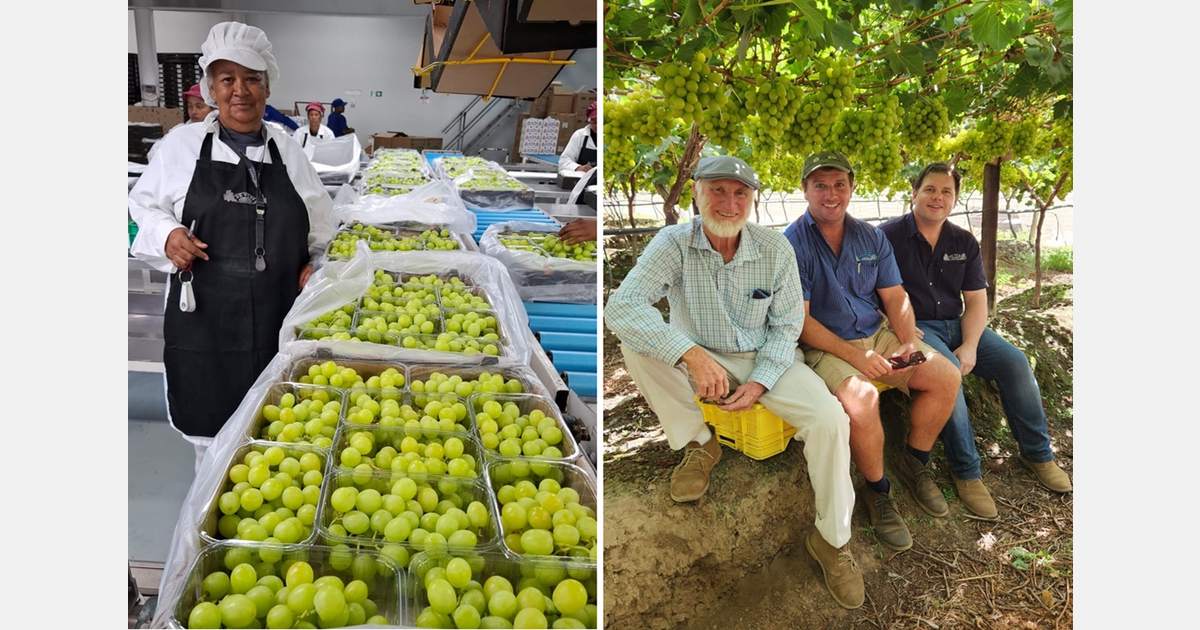 Getting grapes through Cape Town port this season is a labour of Hercules