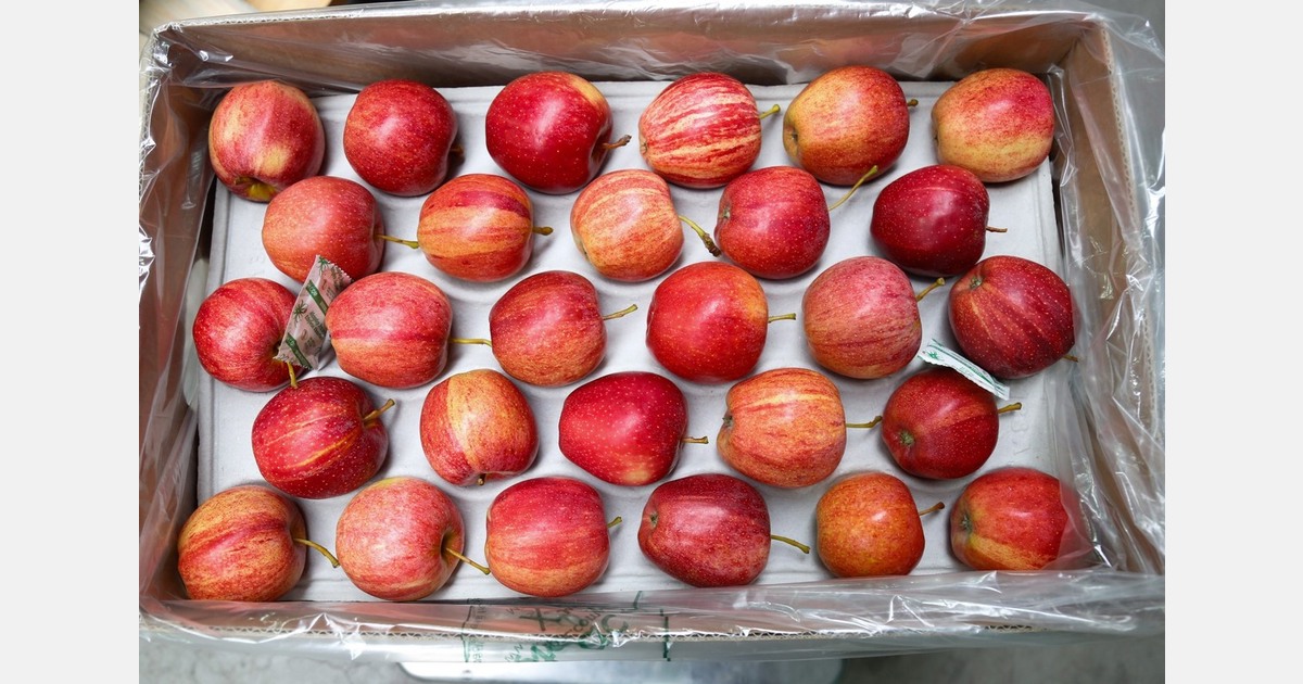 "Many employees are now serving in the army; some people have gone abroad"