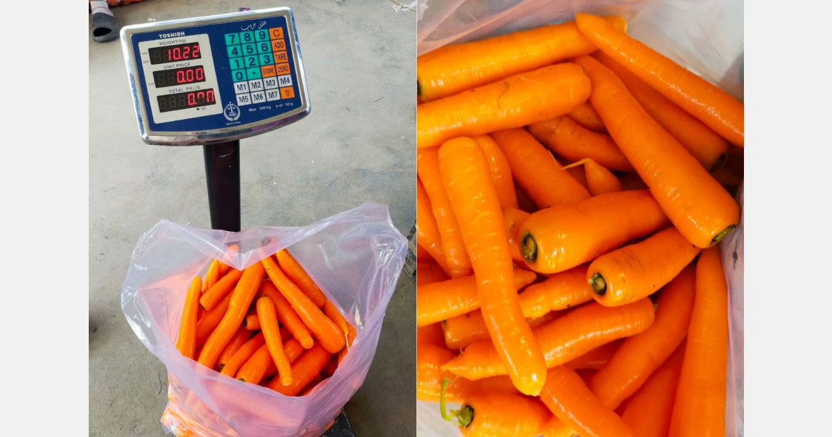 Carrot acreage decreases in Egypt due to declining European demand