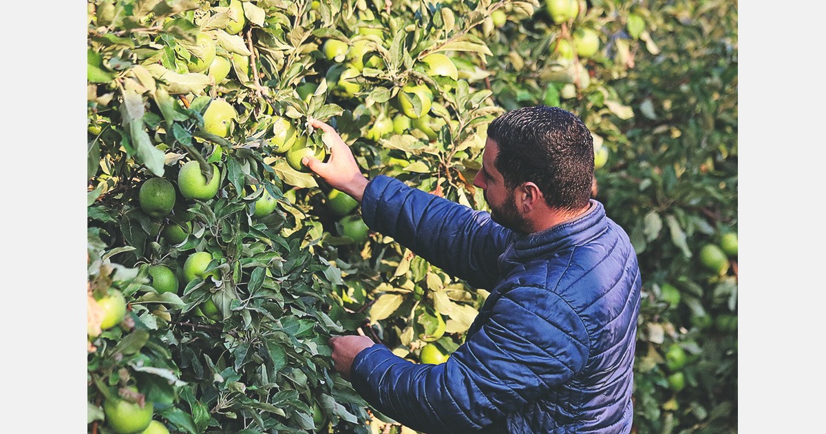 Agroecology: Soon to be a differentiating factor in international trade?