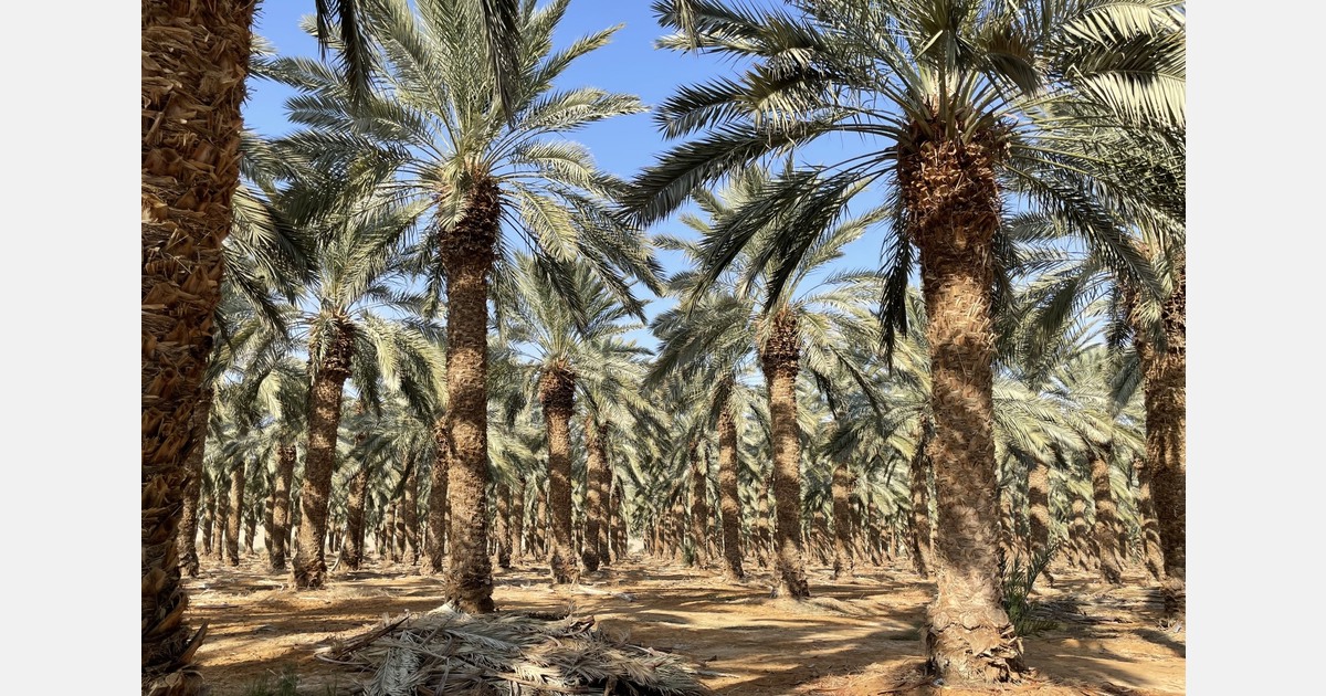 “We believe in standards that are established seriously and for the long term”