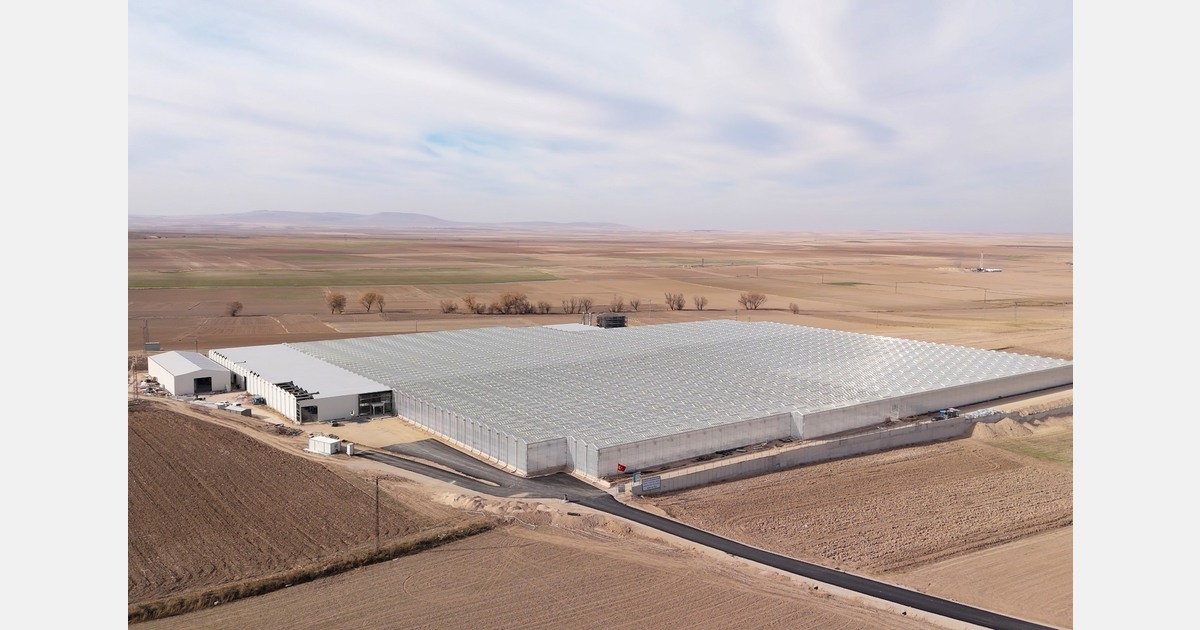 Geothermal greenhouse projects highlight Turkey’s growing focus on EU tomato exports