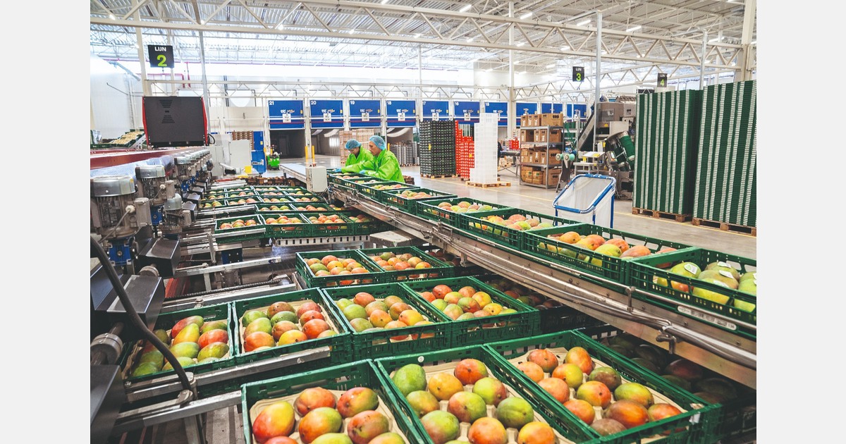 Navigating the New Normal: How Europe’s exotic fruit market adapts in a post-pandemic world