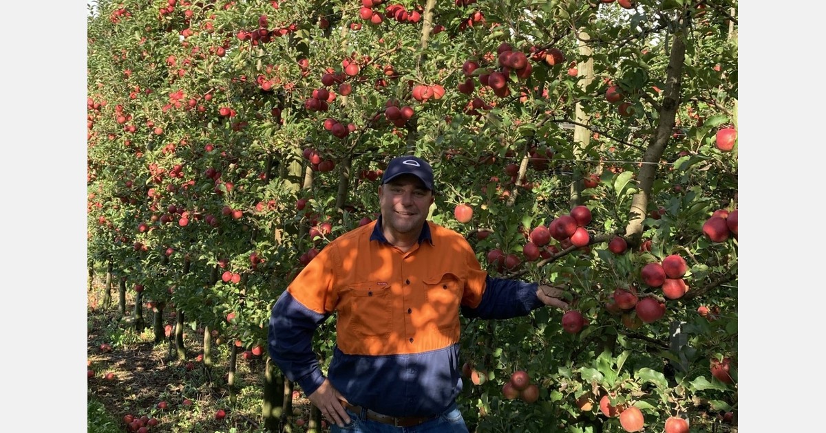 Shopper education the answer for Australian apples