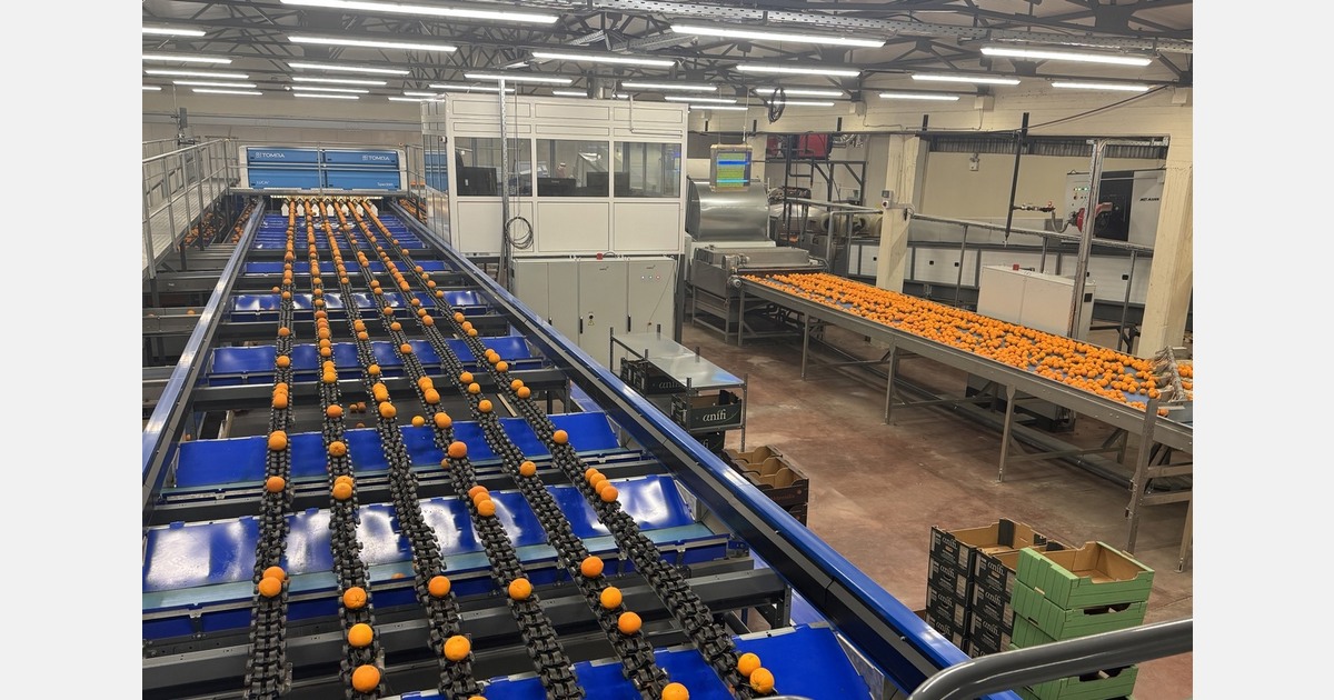 Greek Deputy Minister inaugurates AI citrus sorting line in Greece