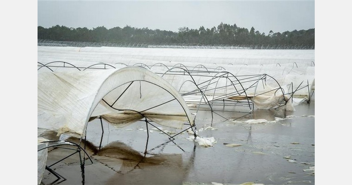 "At first glance, the damage is extremely heartbreaking"