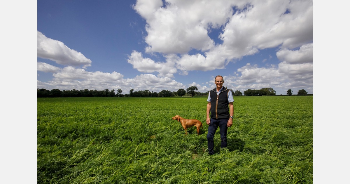 “There is still a fair bit of UK carrots around, but we are also seeing some imports"
