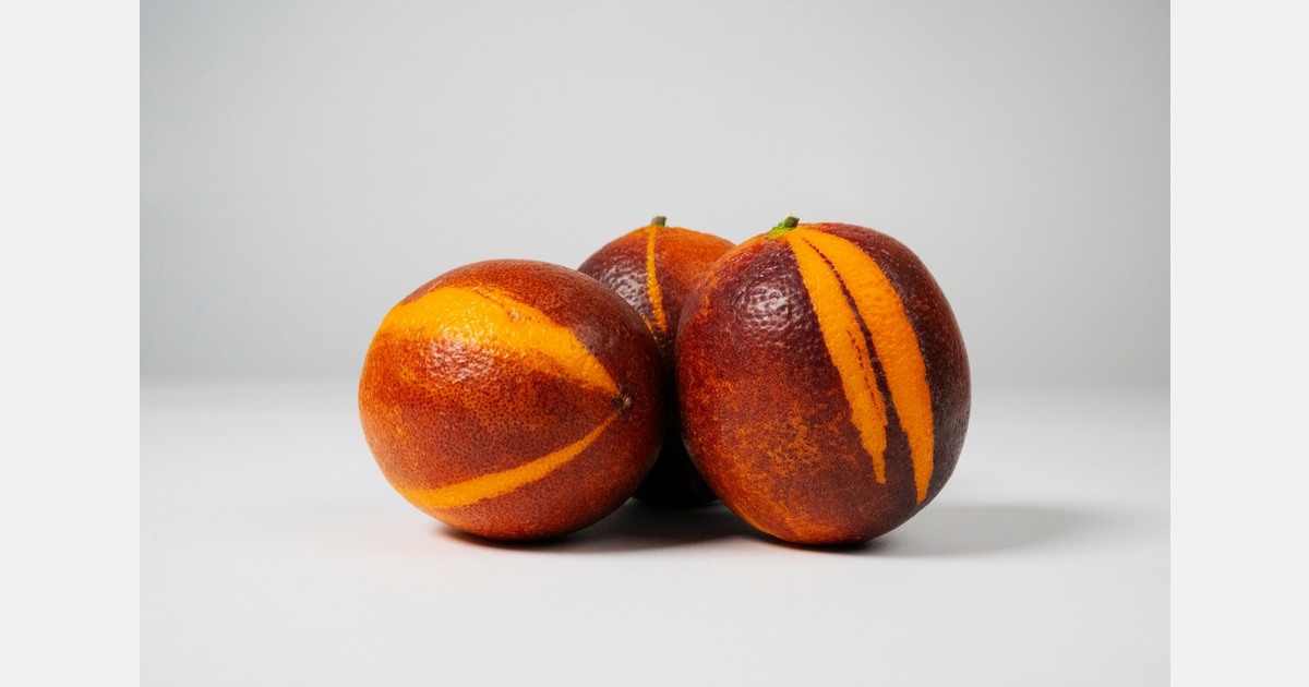 Spanish blood oranges return to European winter market