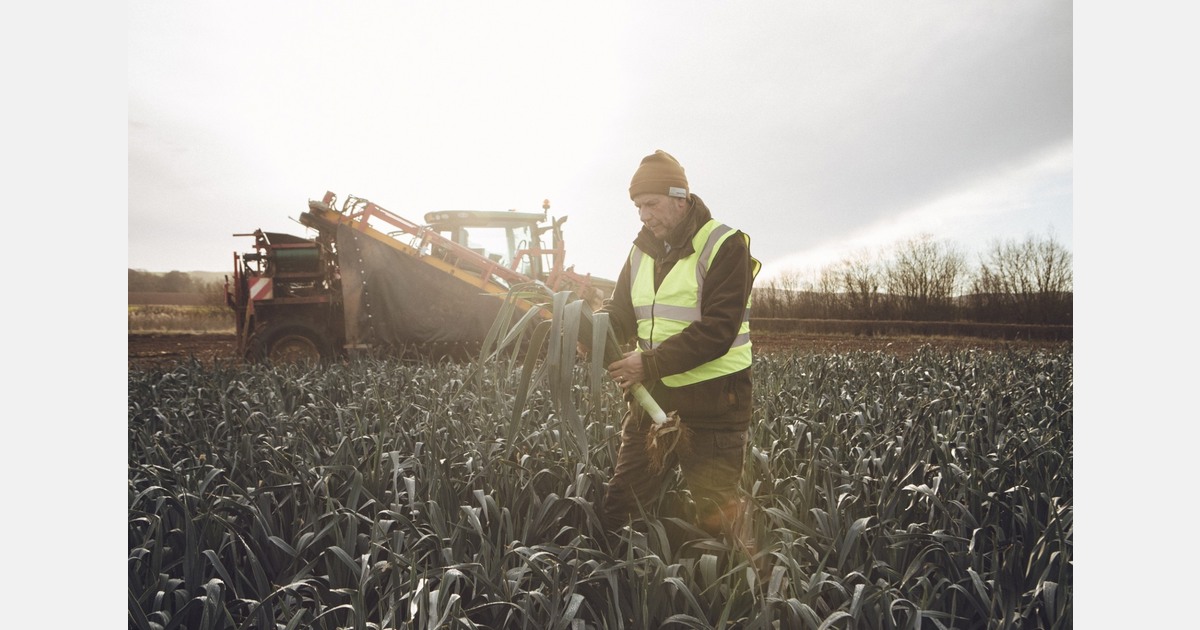 "We are having to plan our harvesting very carefully to minimise impact on soils"