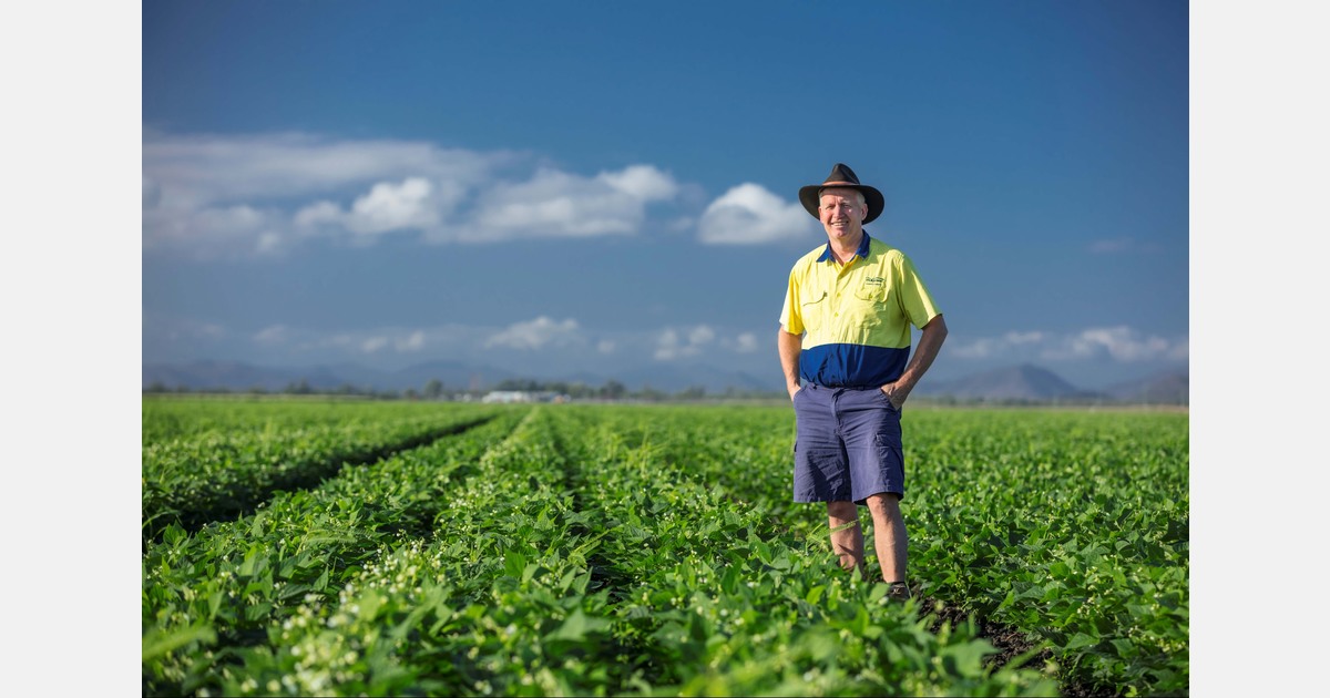Queensland beans benefit from healthier soil
