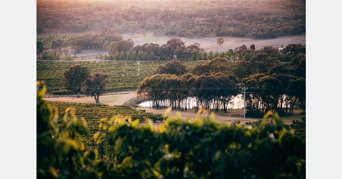 Australian horticulture reaches US$12.14 billion, exports US$2.31 billion