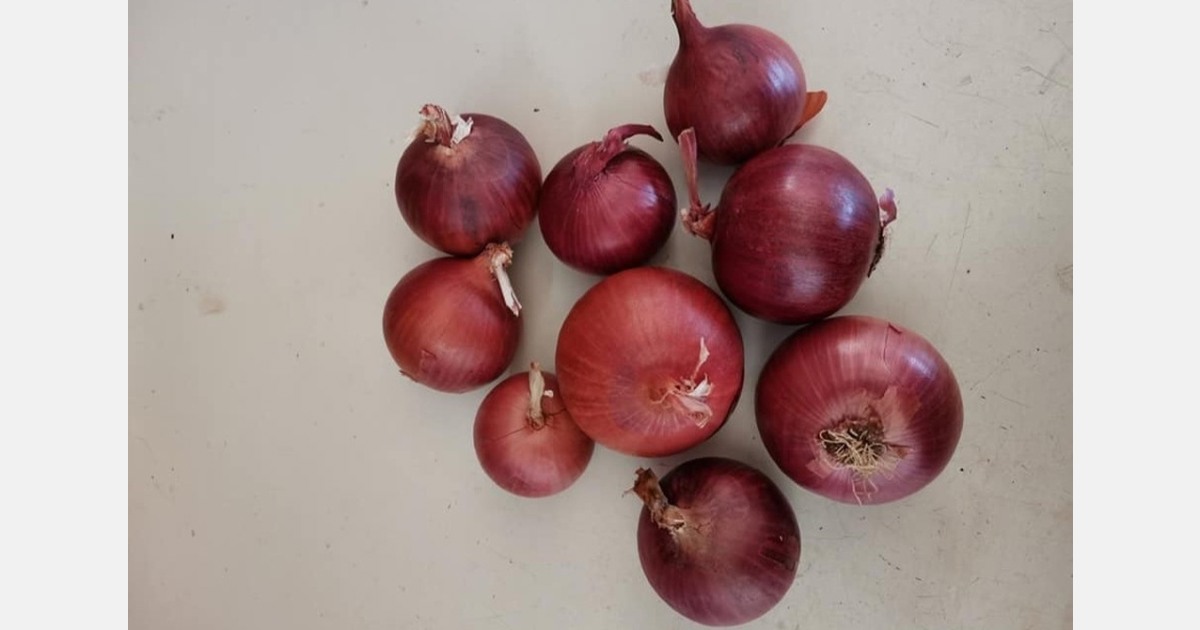 Slim profit margins for Greek onions