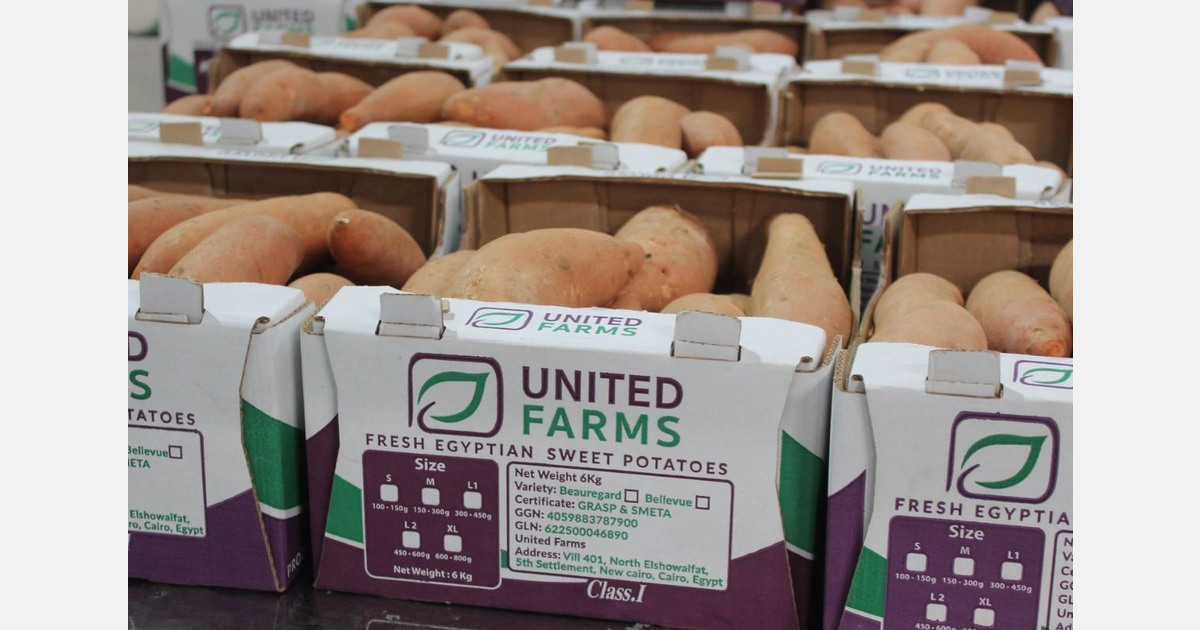 "We have performed well in the Dutch market this season"