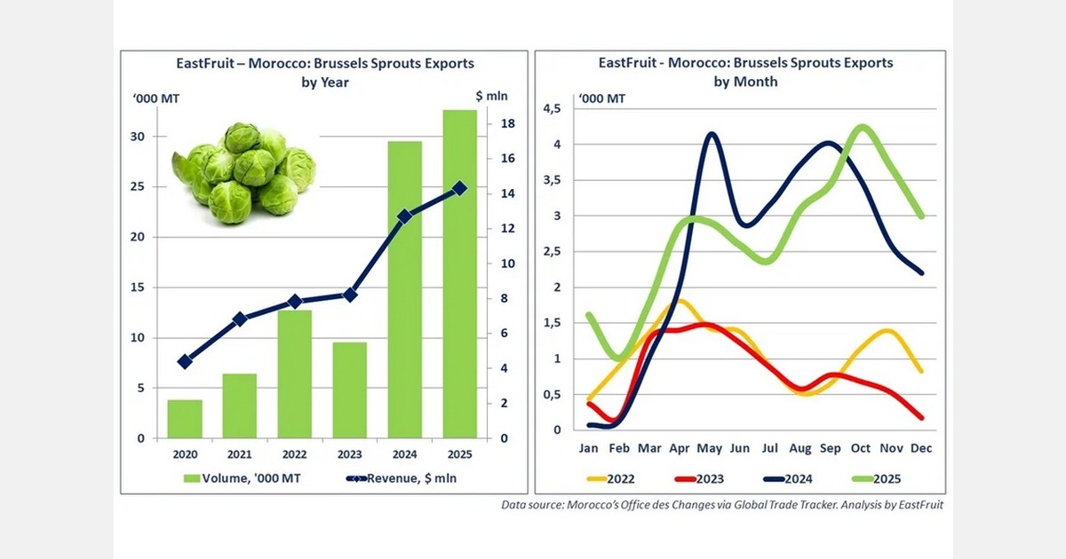 Morocco exports 32,600 tons of Brussels sprouts in record 2025