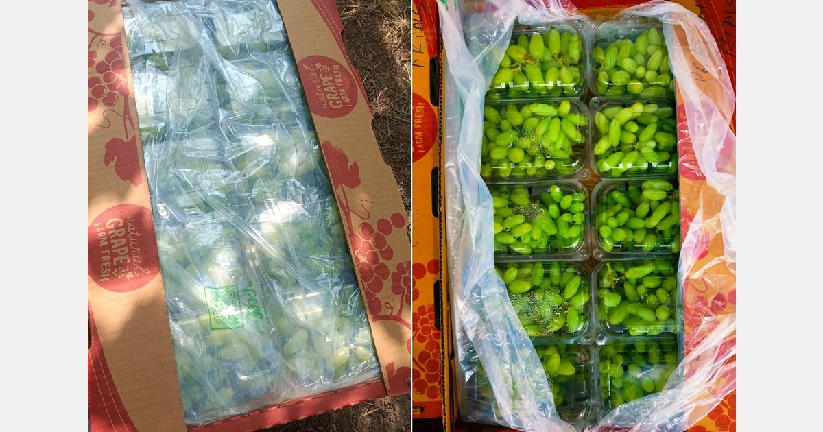 "Grape export market is undergoing shift toward more sustainable post-harvest solutions"