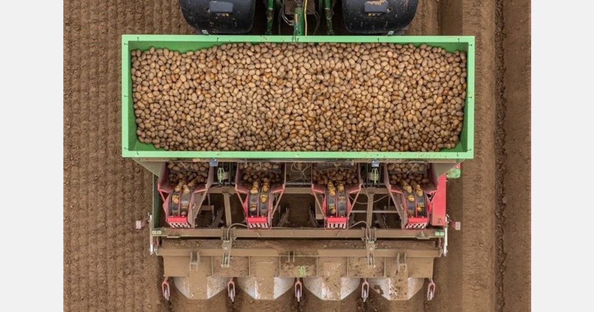 Lincolnshire low carbon farm delivers first reduced emissions potatoes