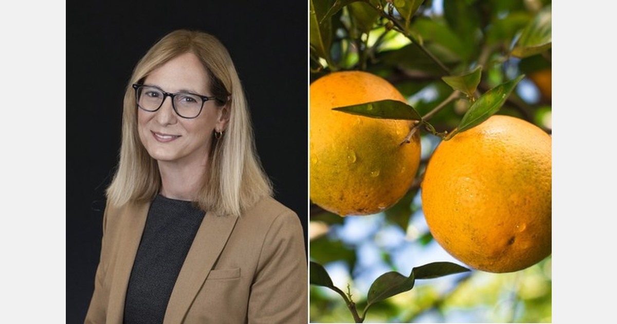 Why origin labelling is important for Florida citrus