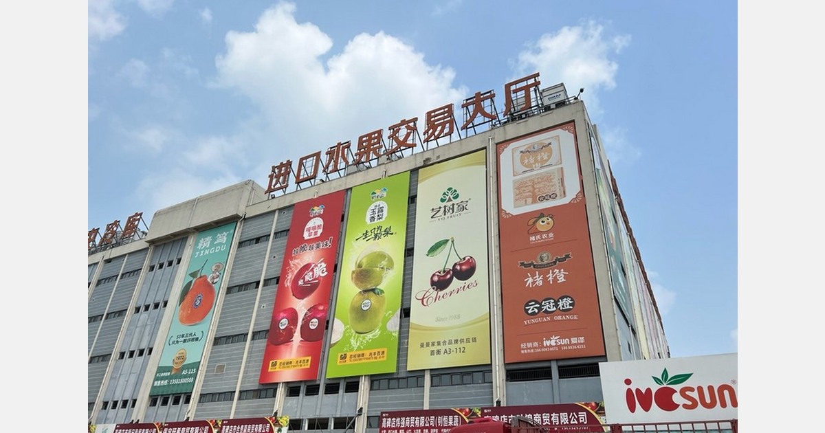 China’s fruit market: Quality demand grows as domestic competition rises
