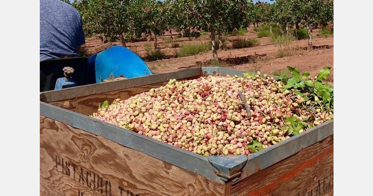 Demand continues to outpace pistachio supply
