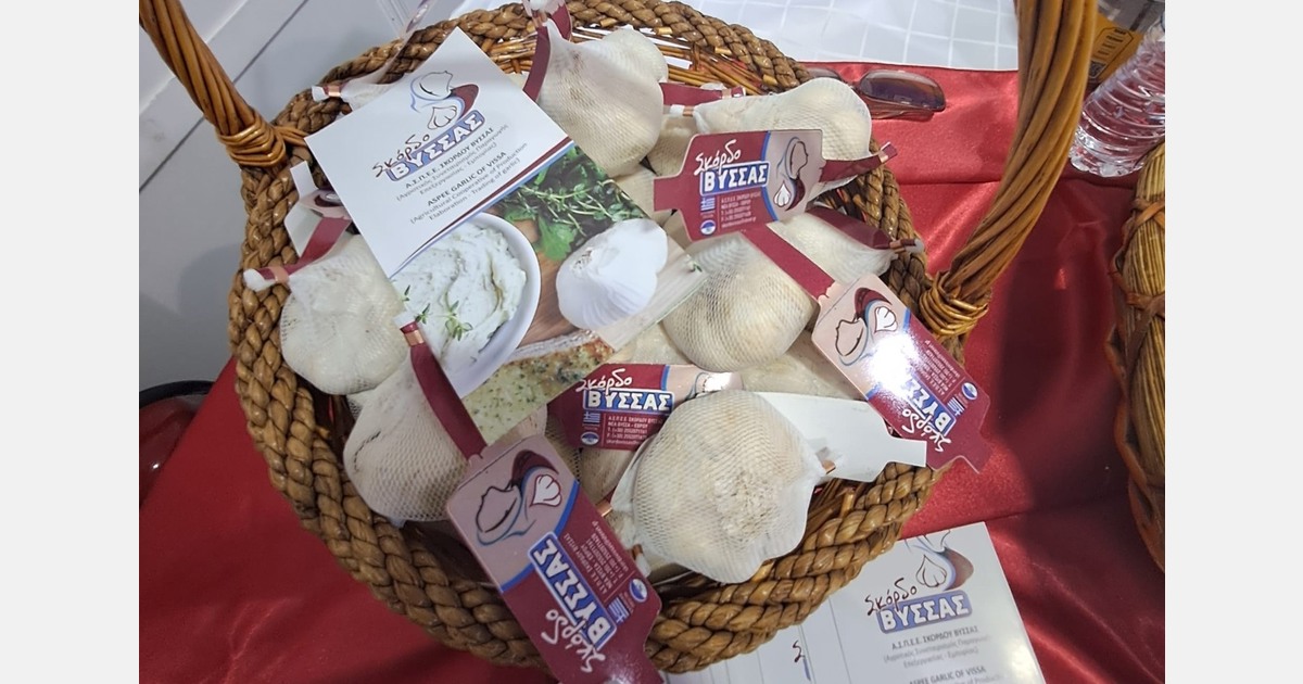 Garlic plantations left intact by the great flood in Evros, Greece