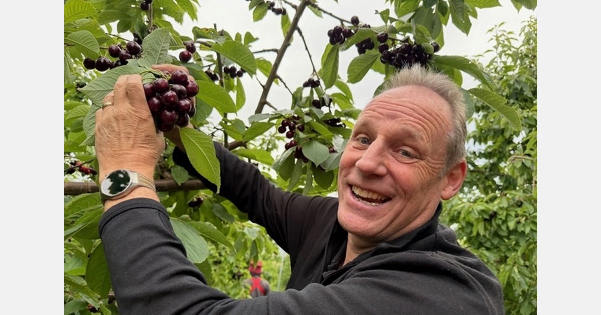 Посевная в Новой Зеландии: холод сдержал сбор летних фруктов