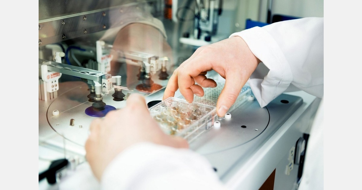 Фитофтора картофеля: датский стартап привлёк €2,4 млн на биоконтроль