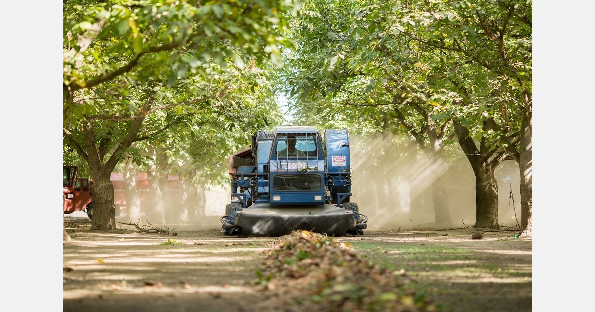 California walnut exports to the Middle East have come to a standstill