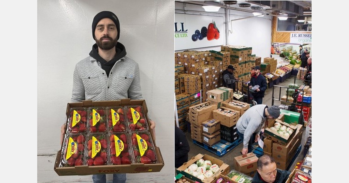 Сезон клубники во Флориде: рост поставок и более сильные цены