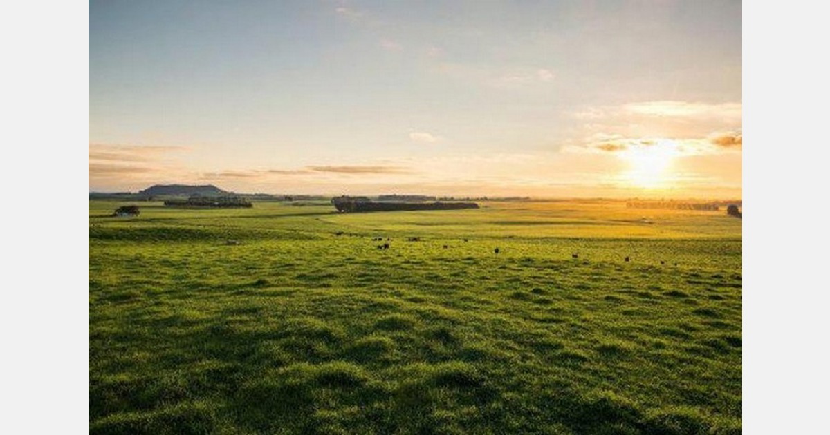 Цены и рынок: продажи органической продукции в США достигли $76,6 млрд