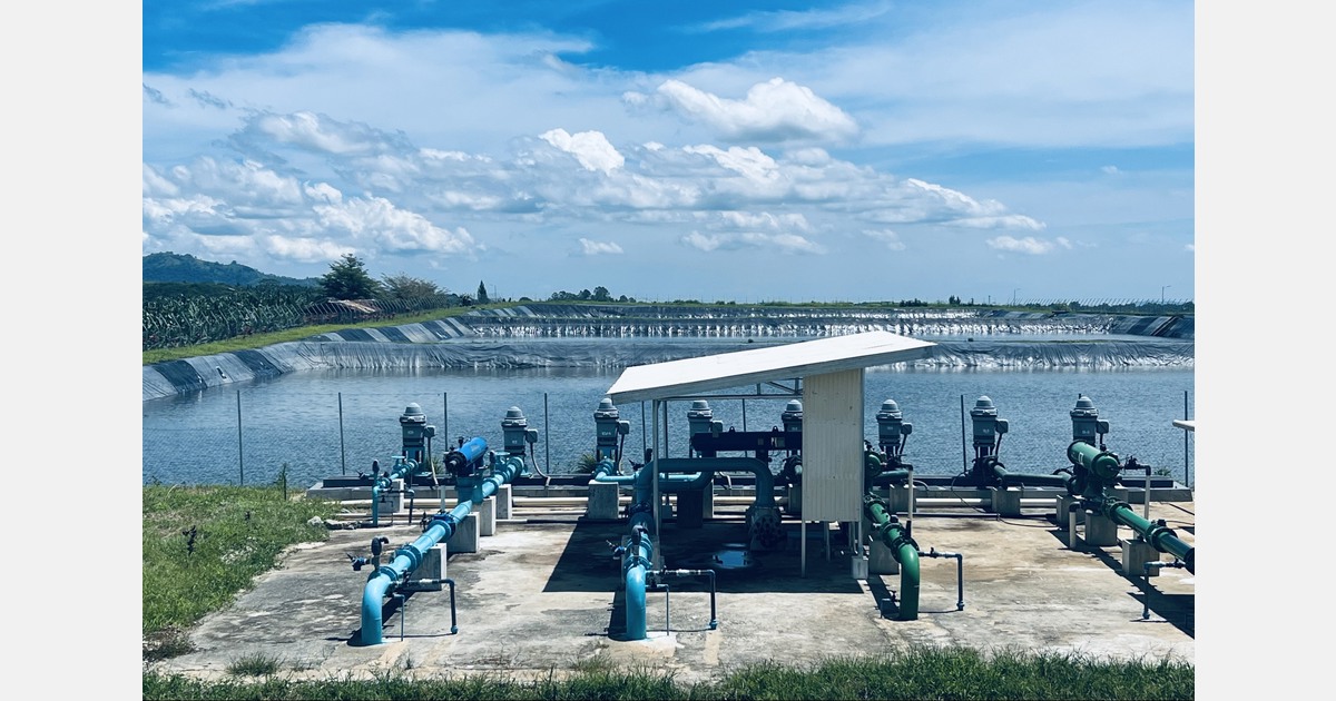 UV-C water disinfection system keeps TR4 and Moko out of banana plantations in the Philippines and beyond