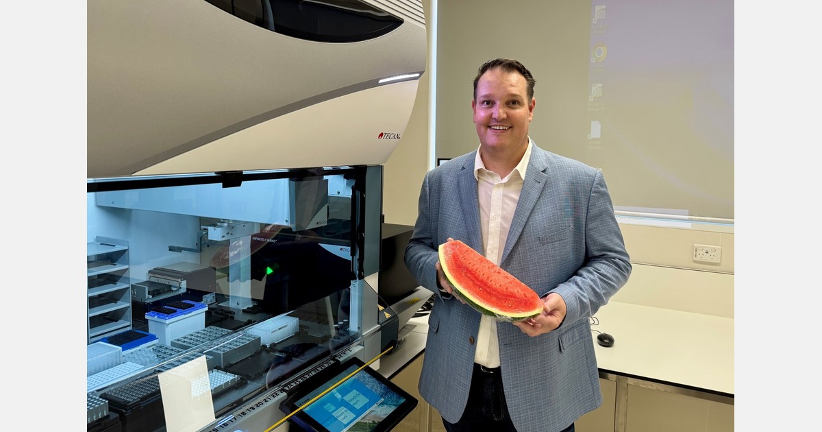 Melon losses expected after heavy rains