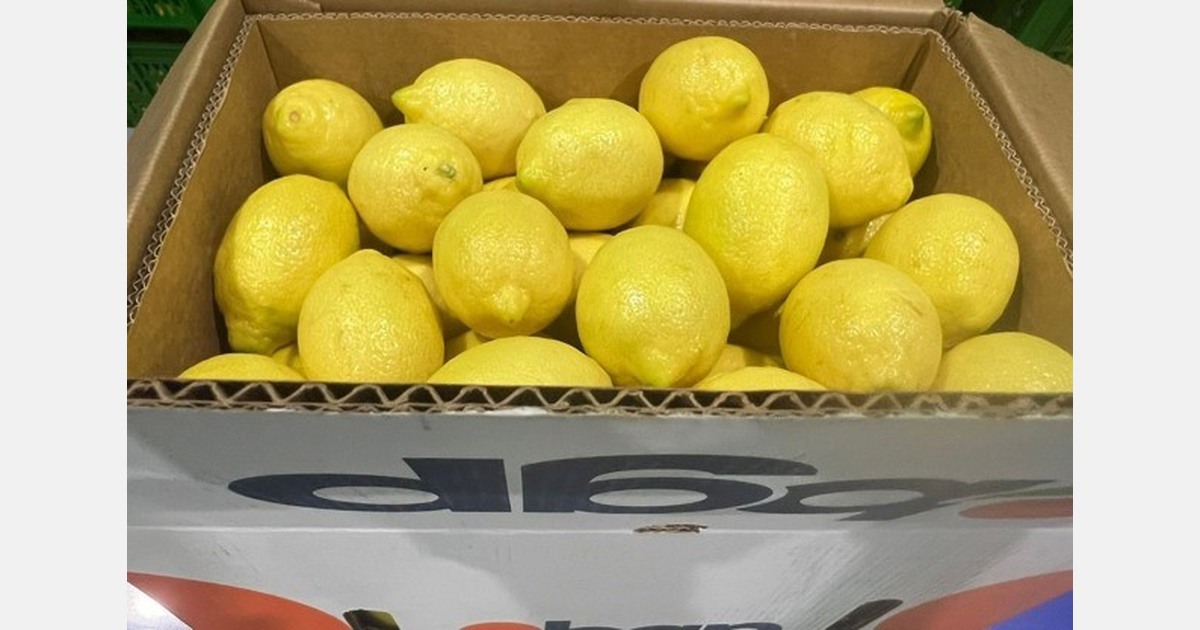 "Shipping costs have also risen sharply, surcharges and discharging goods at closest ports are a wildcard"