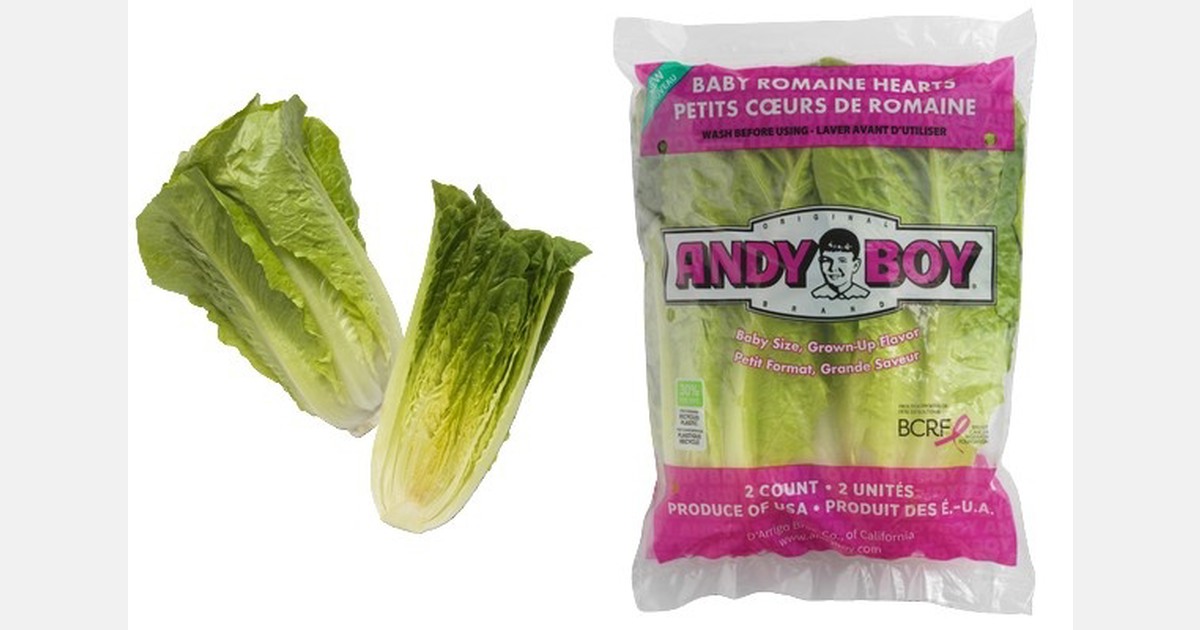 Бэби-ромэн: D’Arrigo California выводит на рынок Baby Romaine Hearts